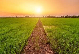 Rajasthan Boosts Fertiliser Monitoring to Protect Farmers